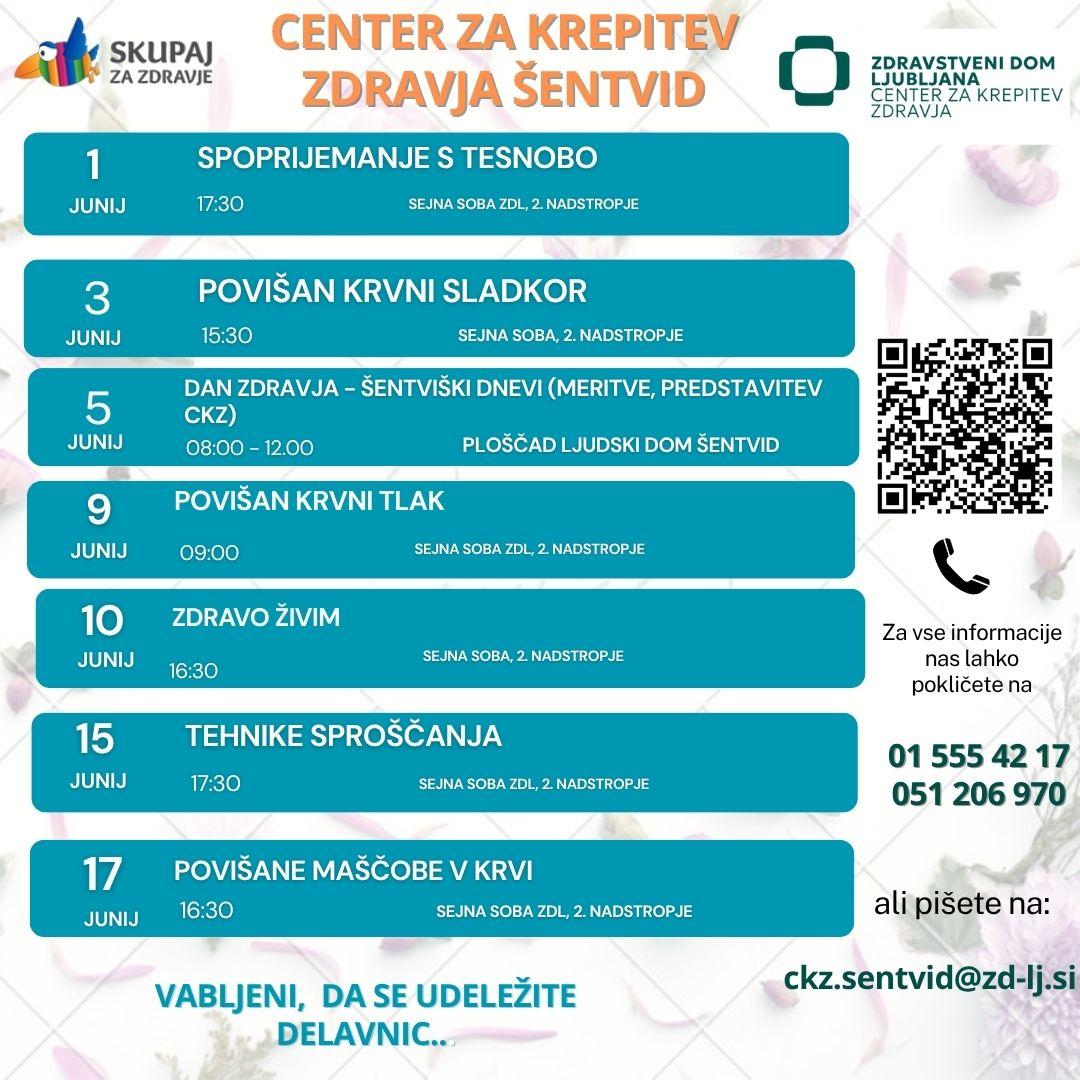 DELAVNICE CKZ 5